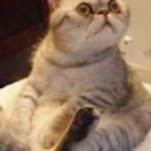 Meet your Posher, Simon